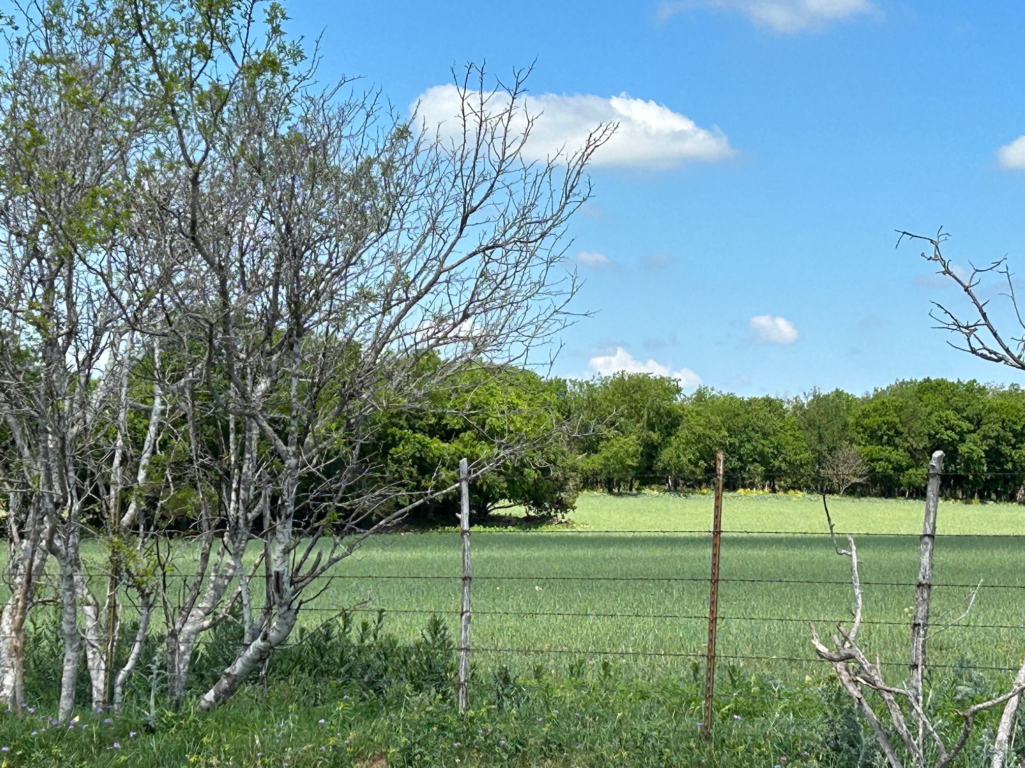 4655 E Fm 217 Valley Mills TX 76689