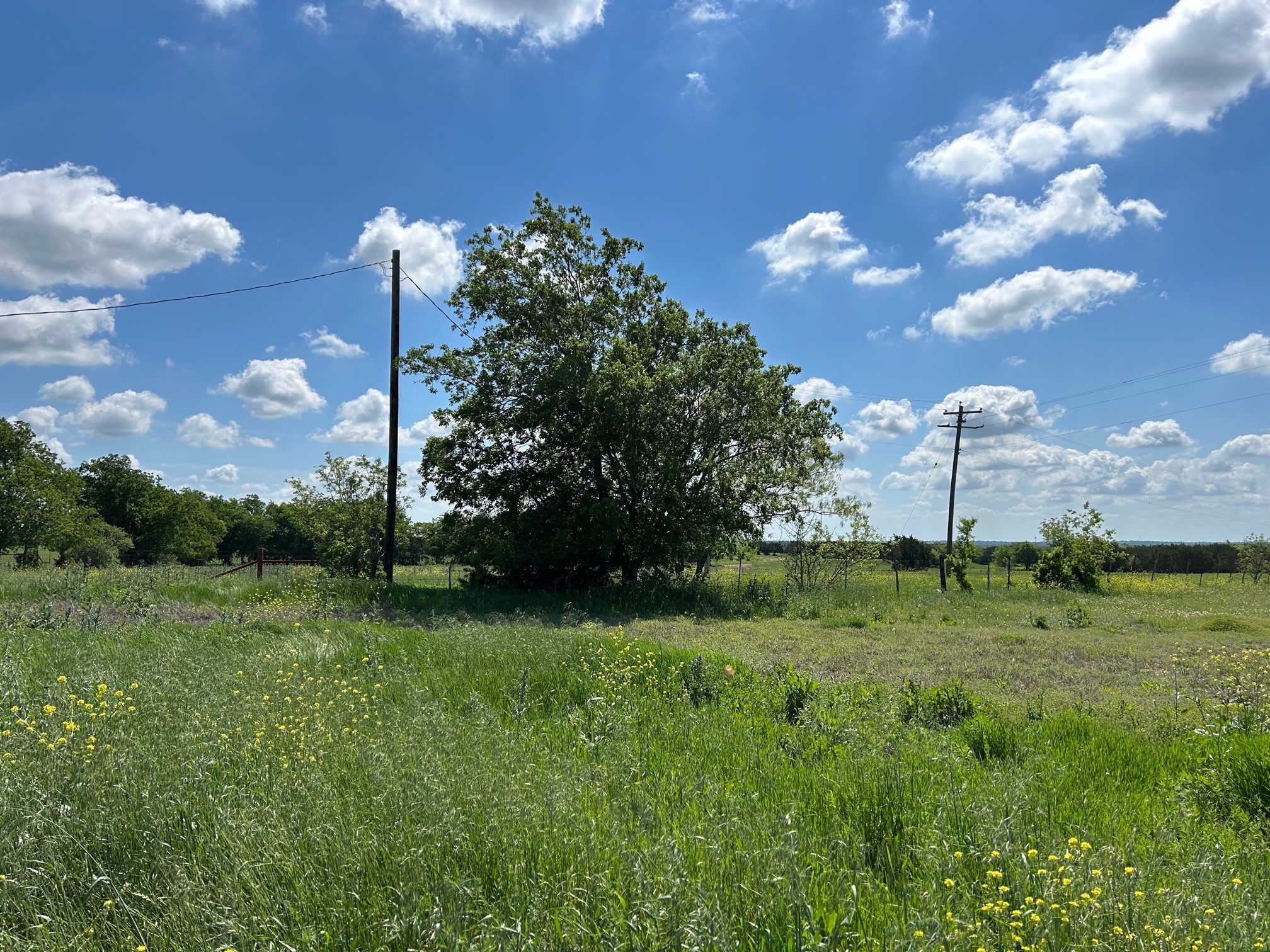 4655 E Fm 217 Valley Mills TX 76689