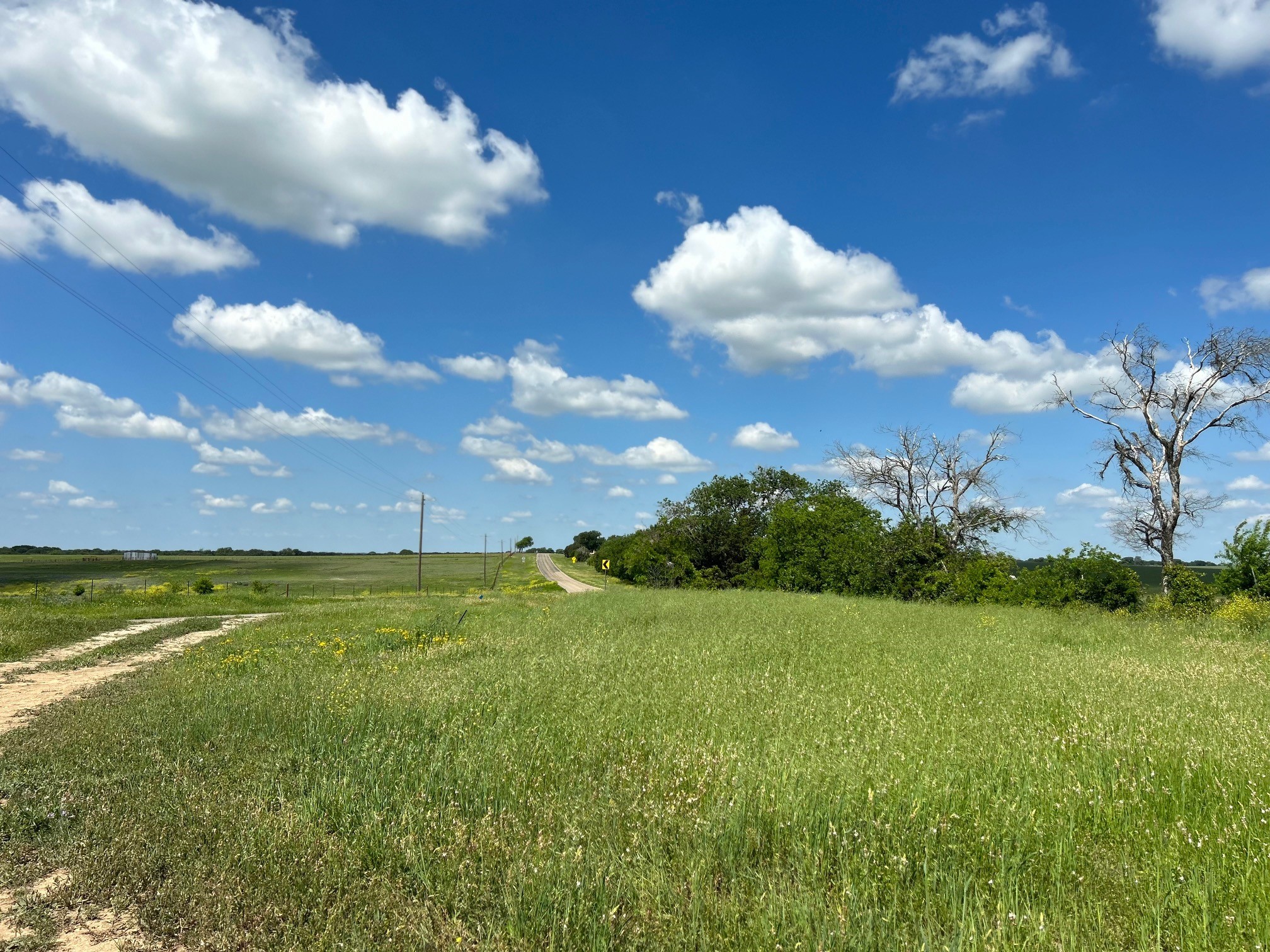 4655 E Fm 217 Valley Mills TX 76689