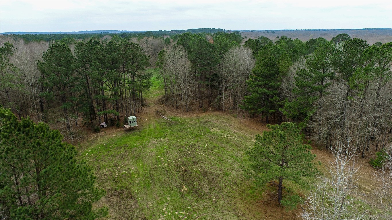 Tbd Central Road No City TX 75686