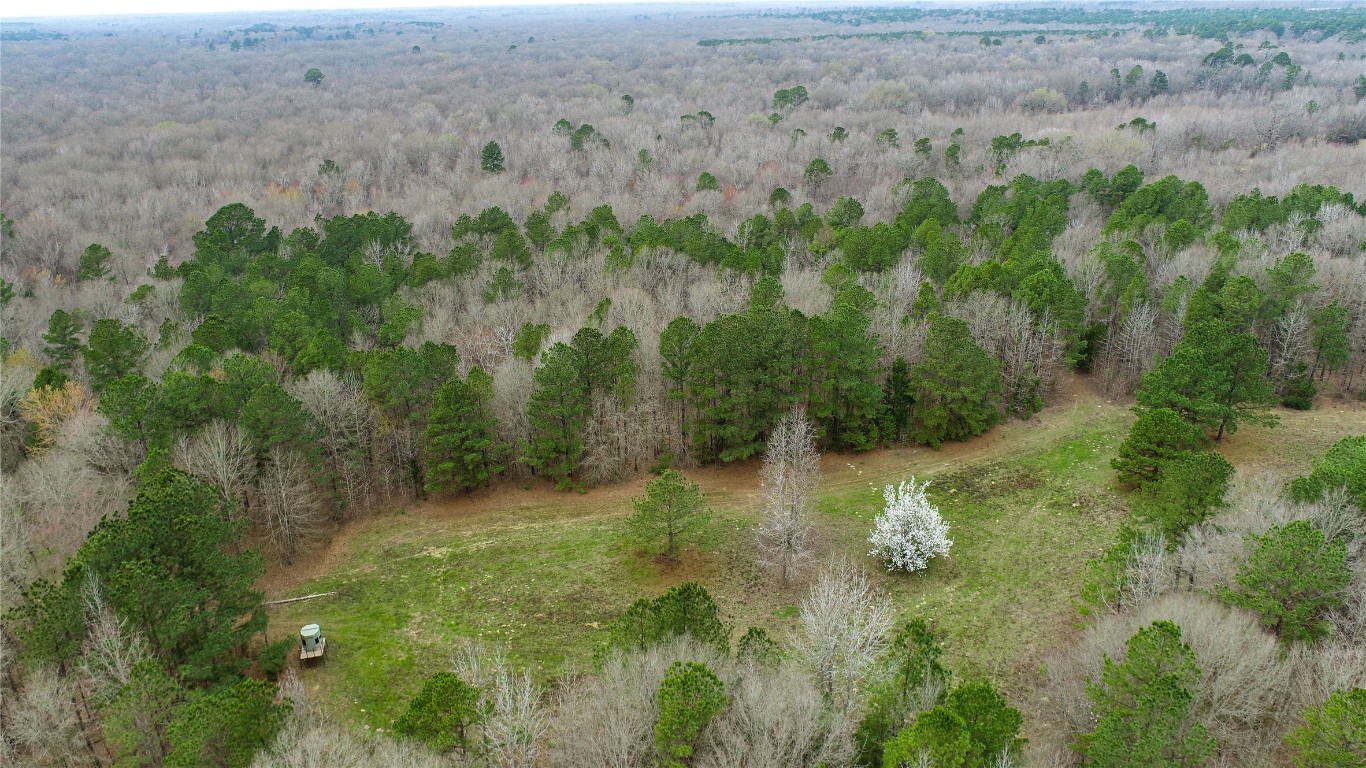 Tbd Central Road No City TX 75686