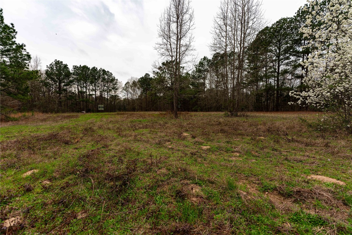 Tbd Central Road No City TX 75686