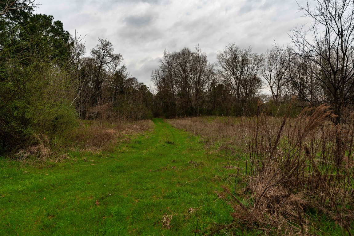 Tbd Central Road No City TX 75686