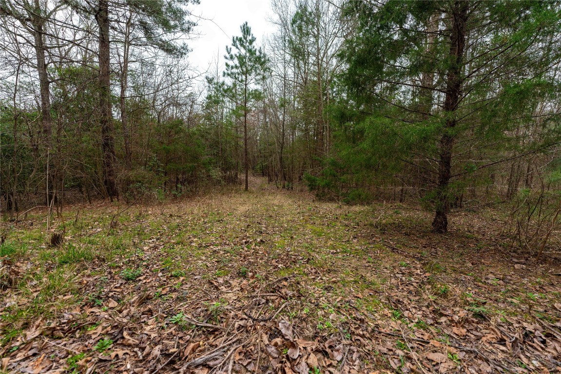 Tbd Central Road No City TX 75686