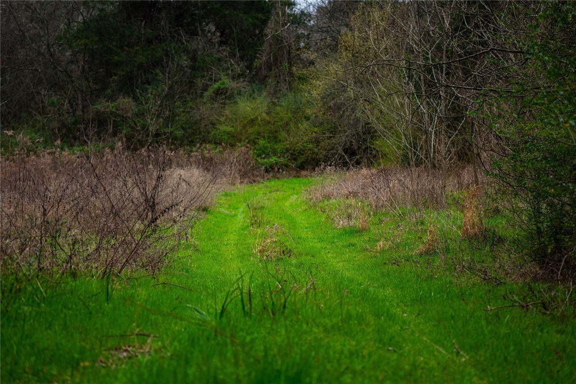 Tbd Central Road No City TX 75686