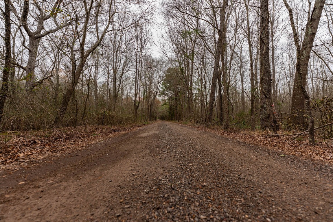 Tbd Central Road No City TX 75686