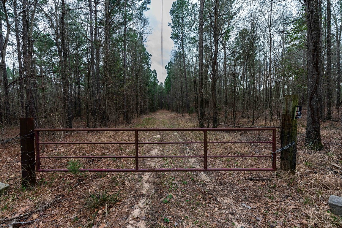 Tbd Central Road No City TX 75686