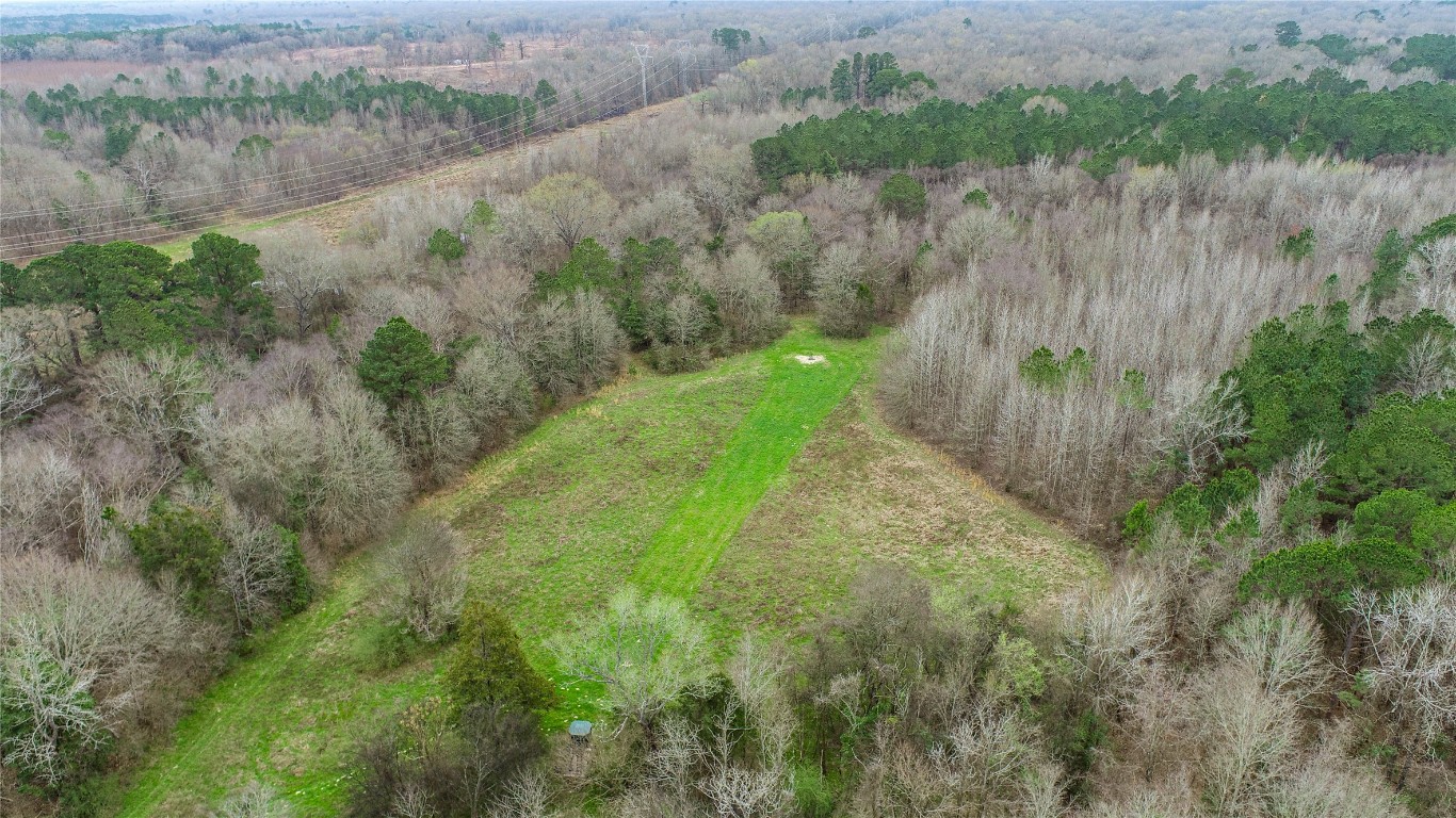 Tbd Central Road No City TX 75686