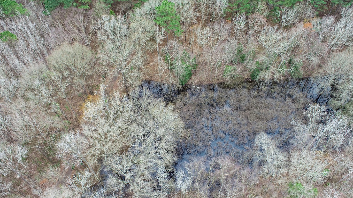 Tbd Central Road No City TX 75686