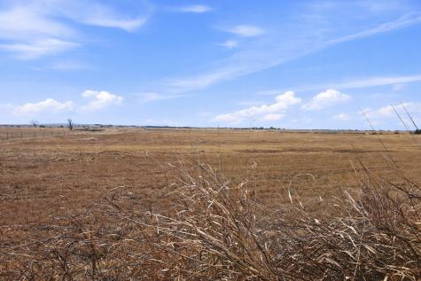TBD-20 Acres Tbd Cr 255 Gatesville TX 76528