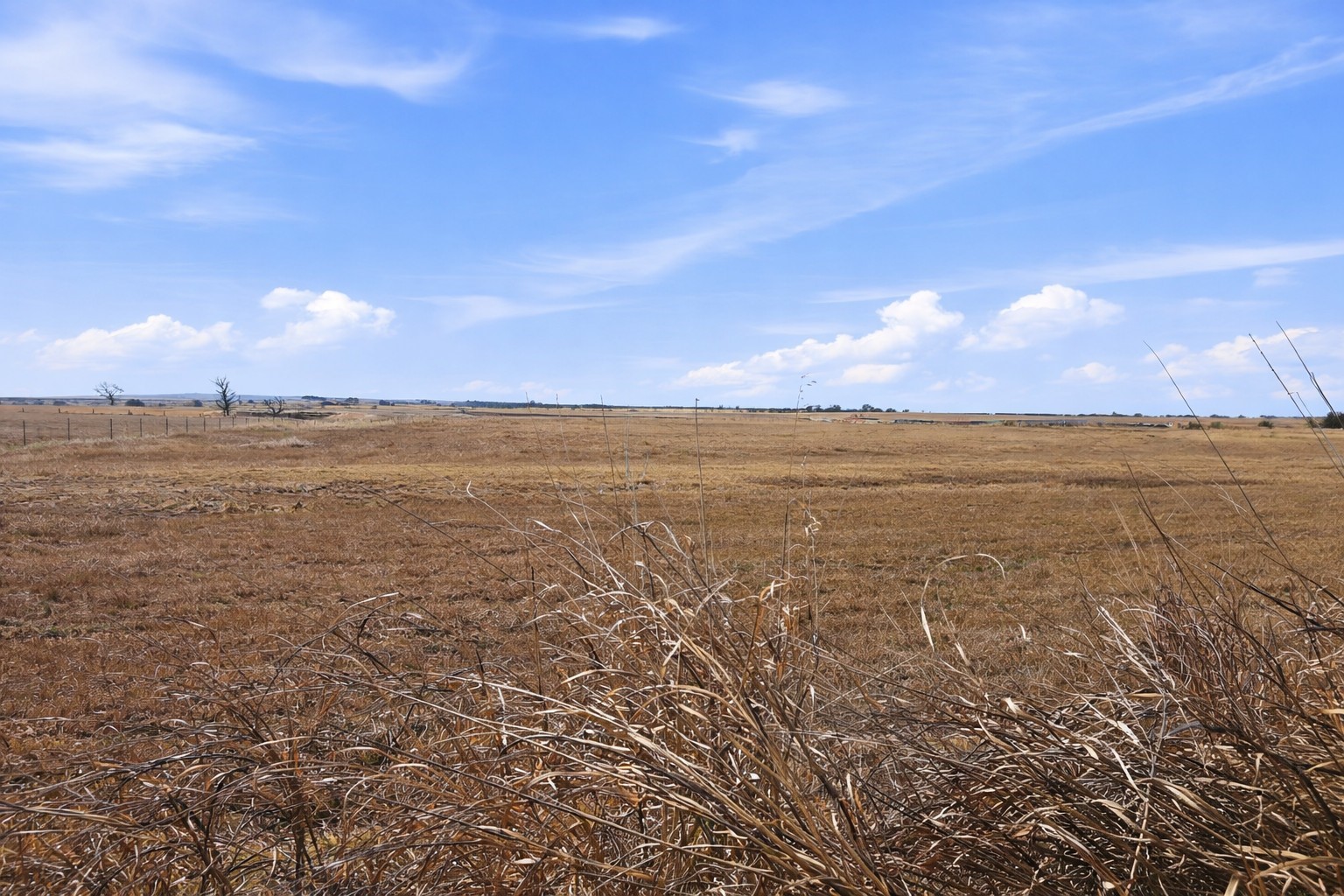 TBD-20 Acres Tbd Cr 255 Gatesville TX 76528