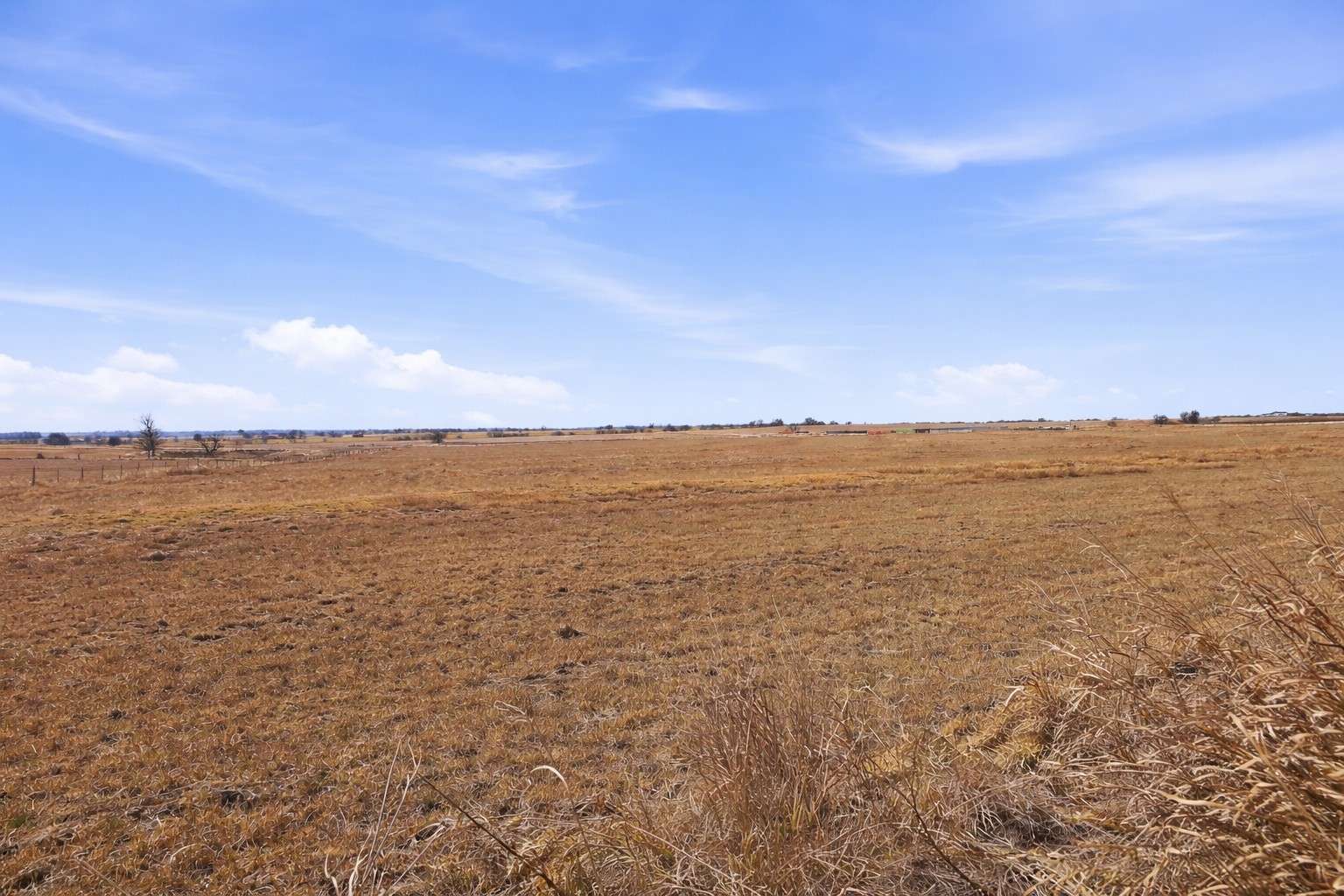 TBD-20 Acres Tbd Cr 255 Gatesville TX 76528