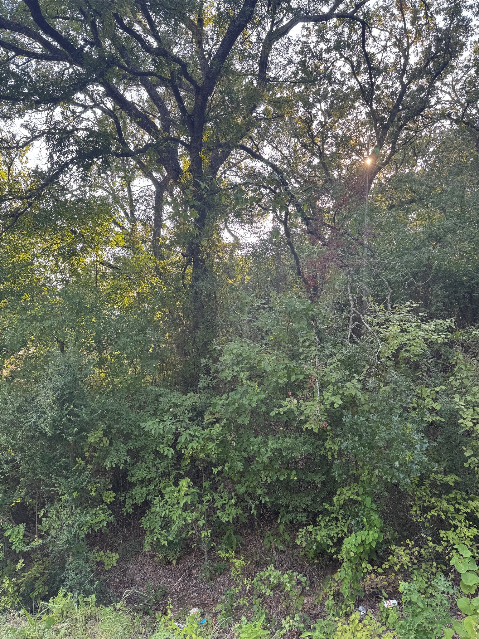 1922 Walter Smith Road Azle TX 76020