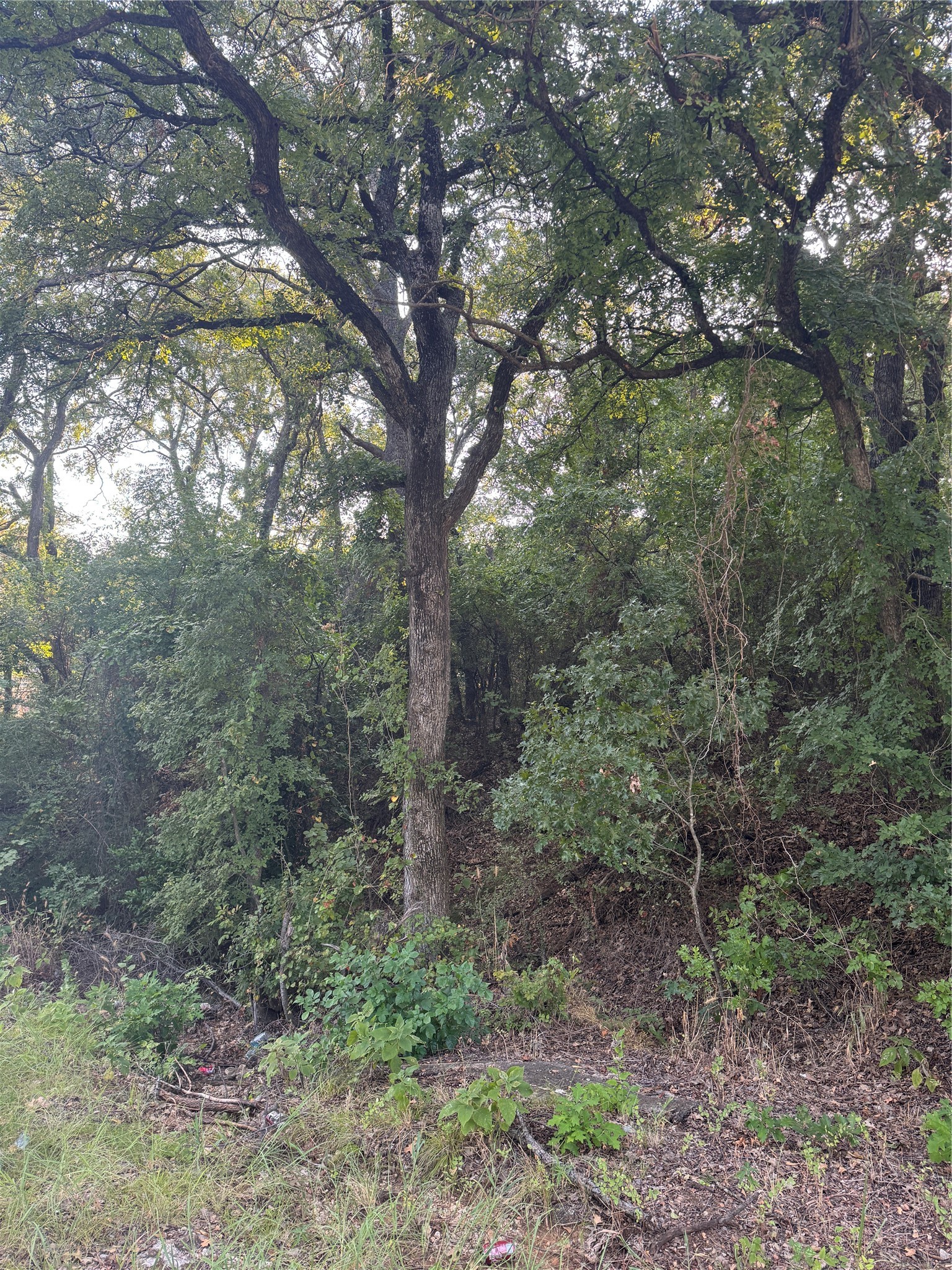 1922 Walter Smith Road Azle TX 76020