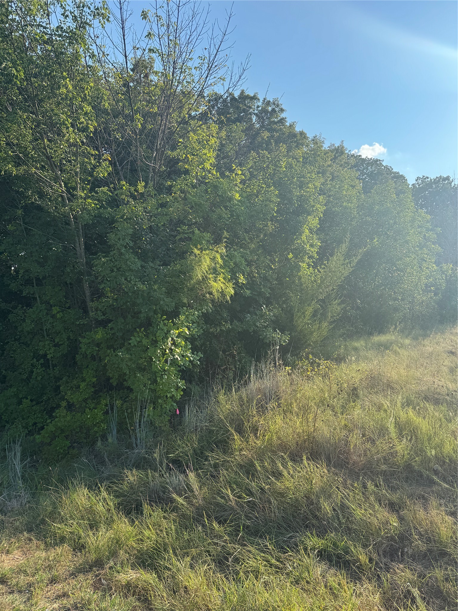 1922 Walter Smith Road Azle TX 76020