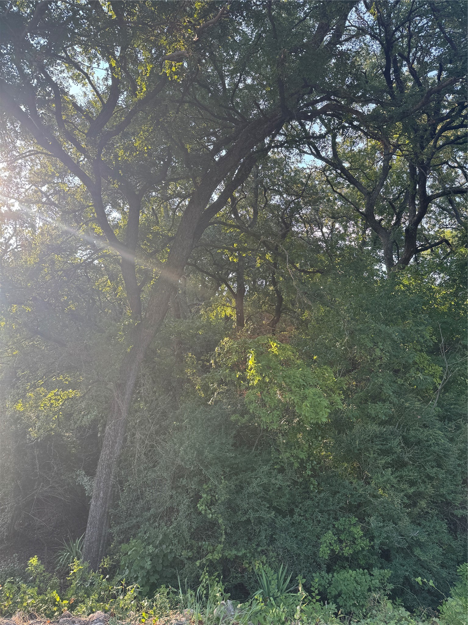 1922 Walter Smith Road Azle TX 76020