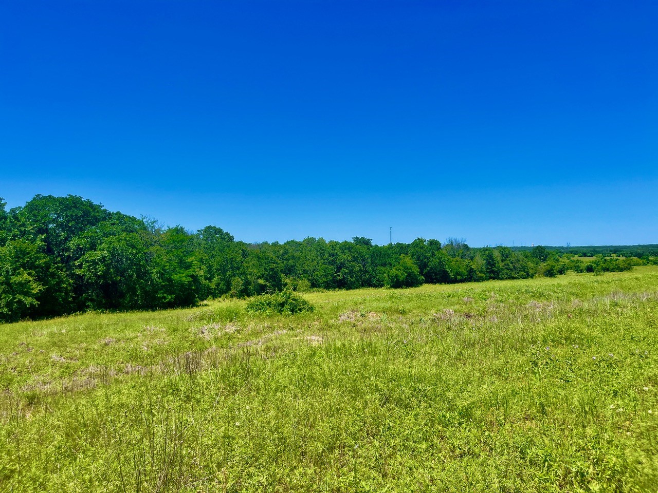 Lot 19 Kilkenny Road Poolville TX 76487