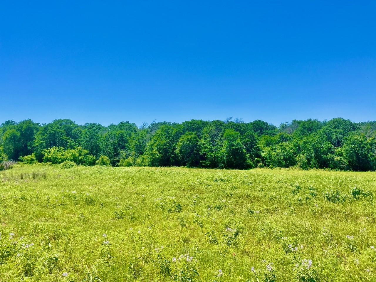 Lot 19 Kilkenny Road Poolville TX 76487
