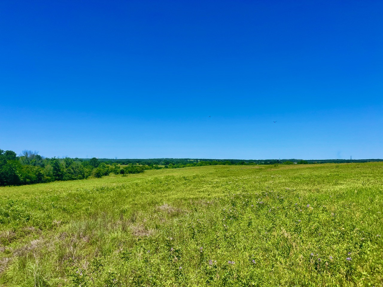 Lot 19 Kilkenny Road Poolville TX 76487