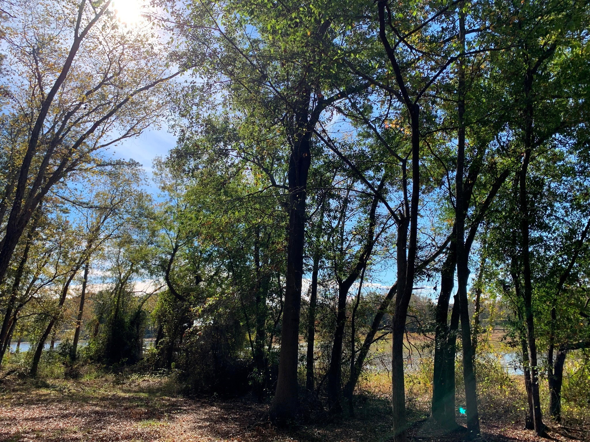 11524 Drakes Landing Frankston TX 75763