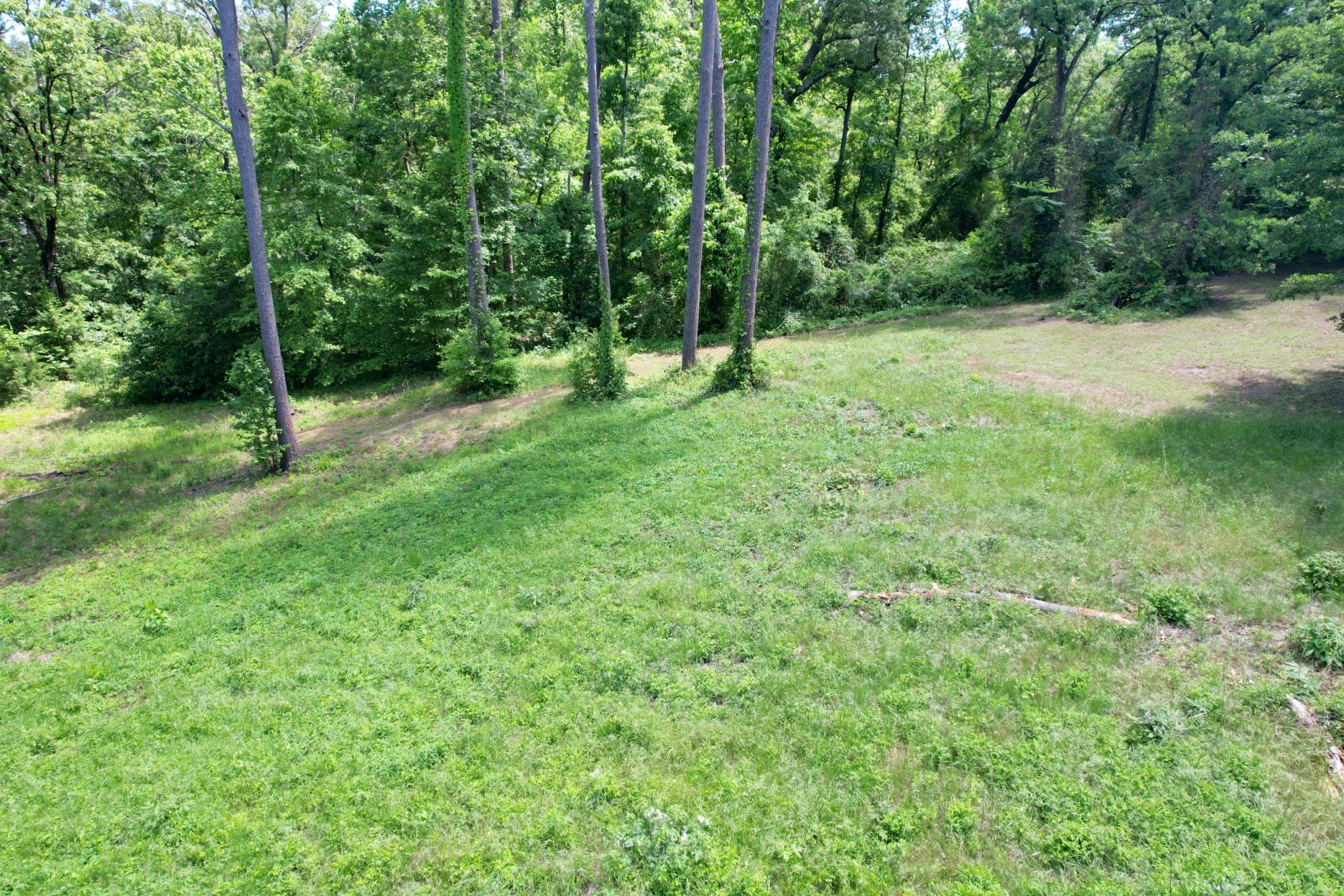 Tbd Private Road 4403 Scroggins TX 75480