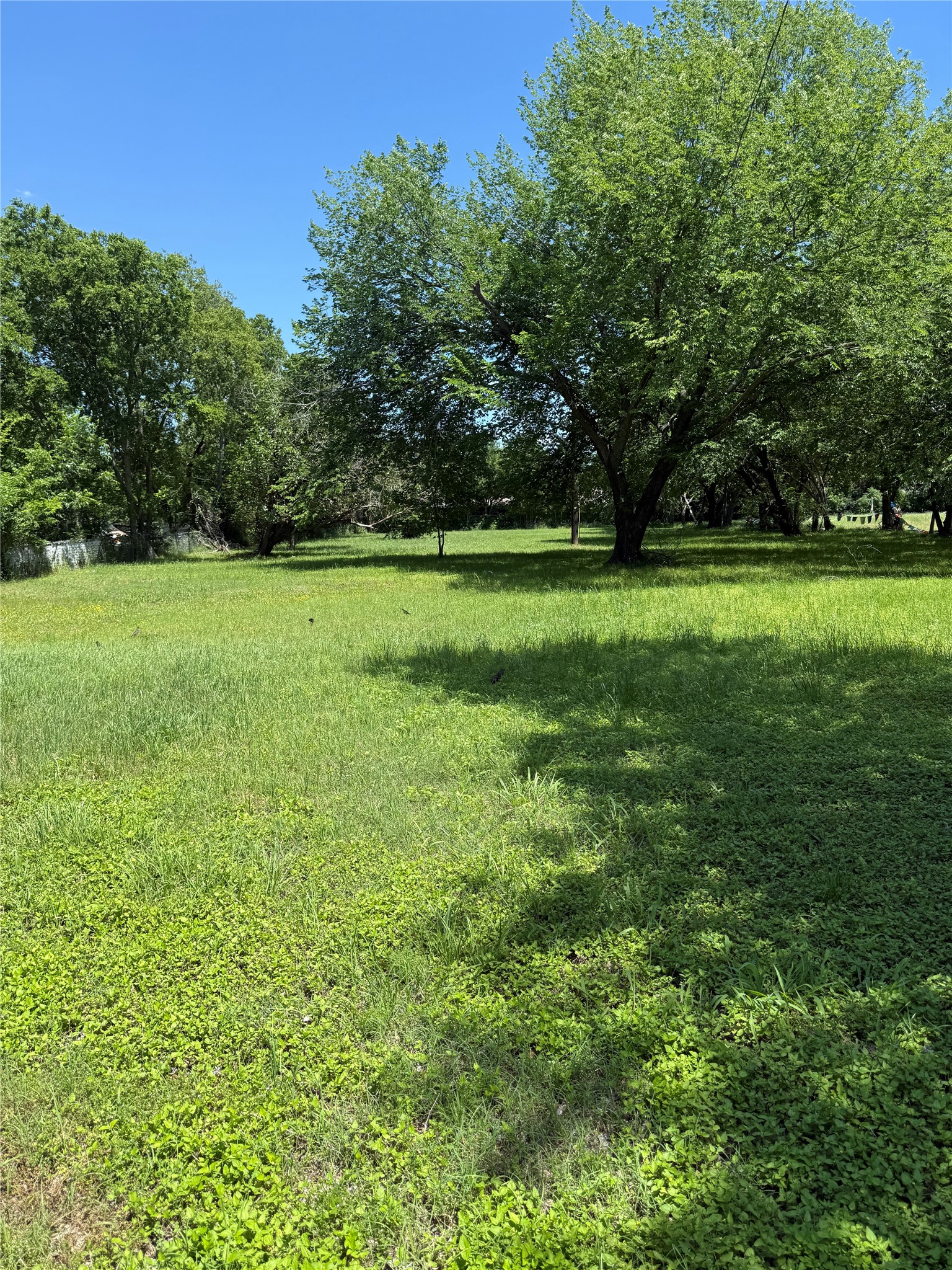 1022 Armeda Avenue Irving TX 75061