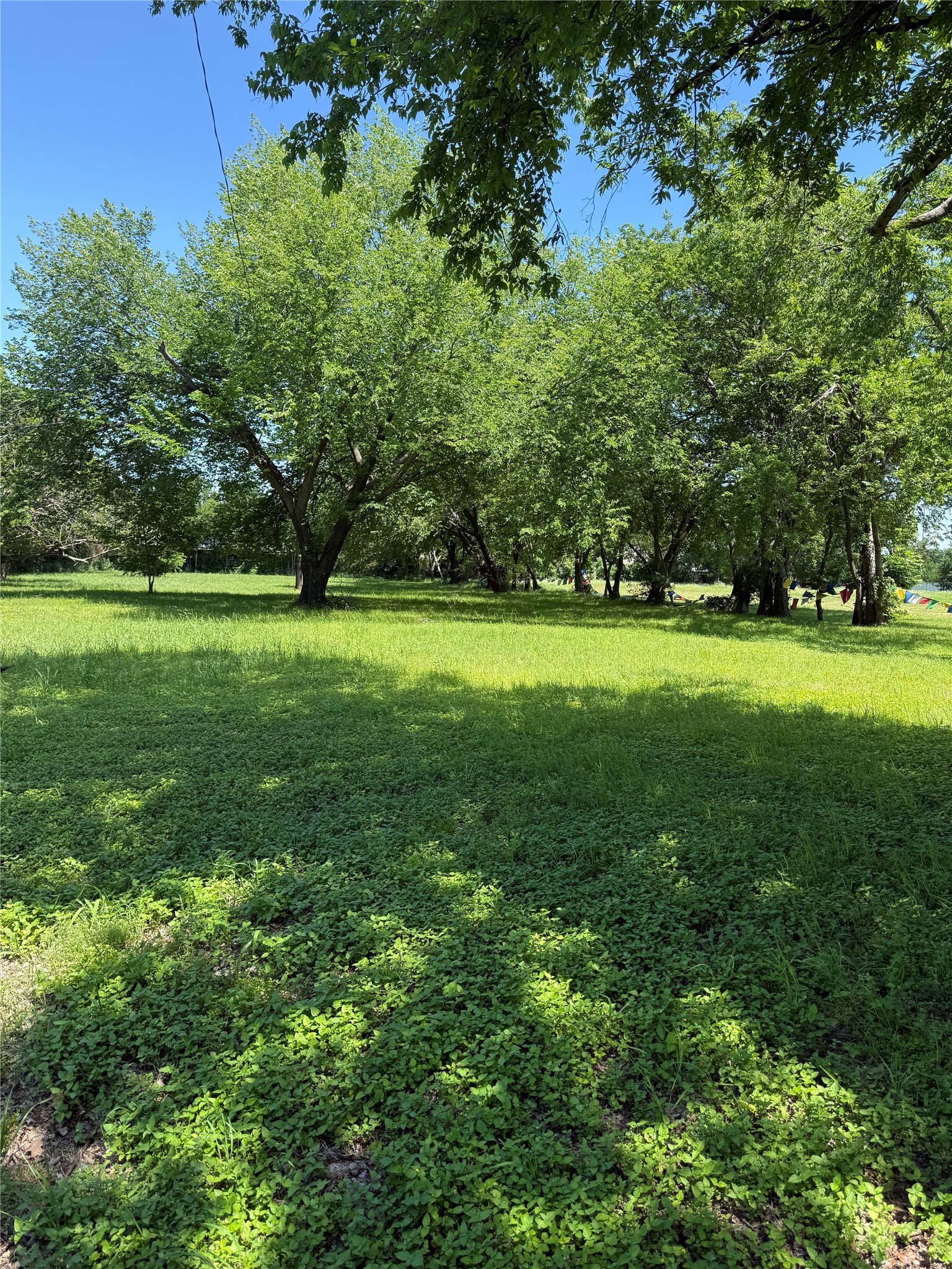 1022 Armeda Avenue Irving TX 75061