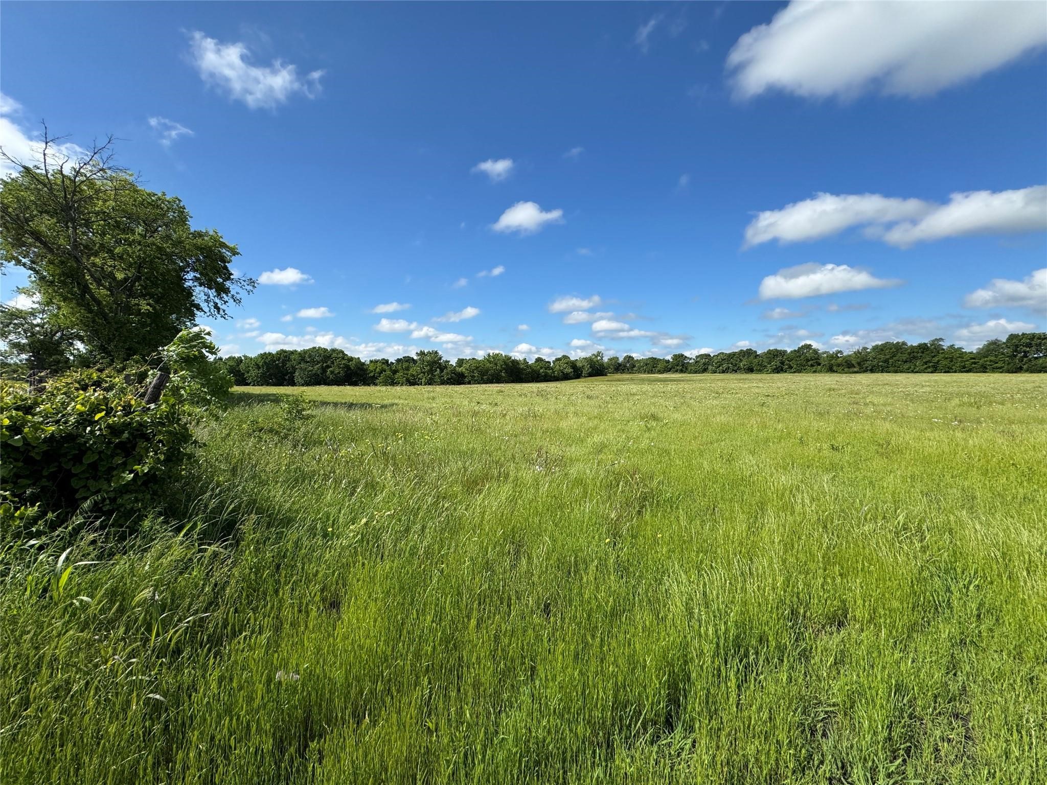 Tbd Tribble Road Sherman TX 75090