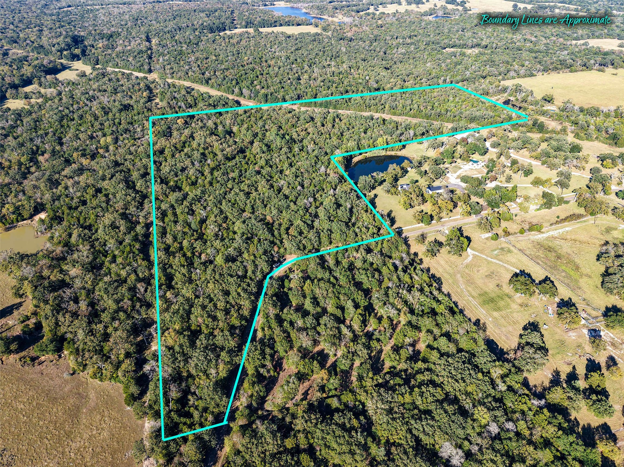 40 Acres Fcr 930 Teague TX 75860