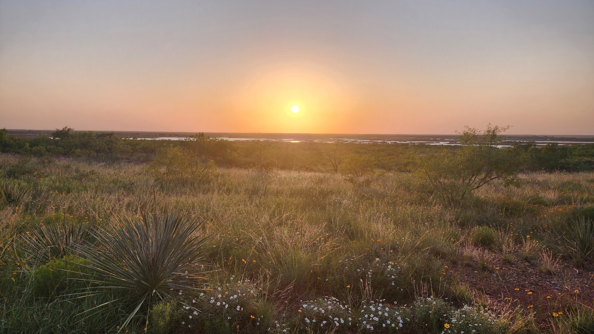 32+ Acres Lake Stamford Fm 600 Stamford TX 79553