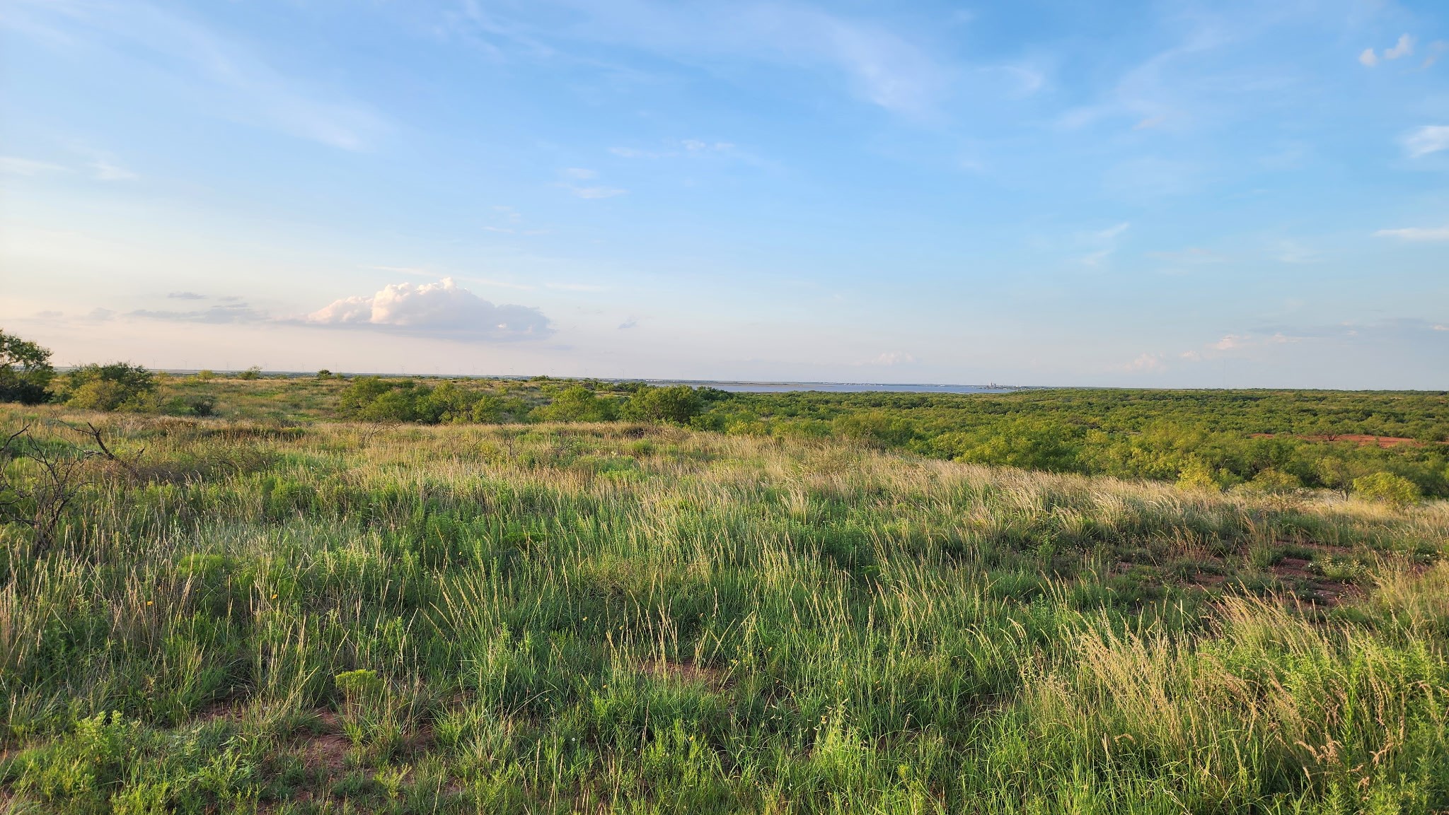 32+ Acres Lake Stamford Fm 600 Stamford TX 79553