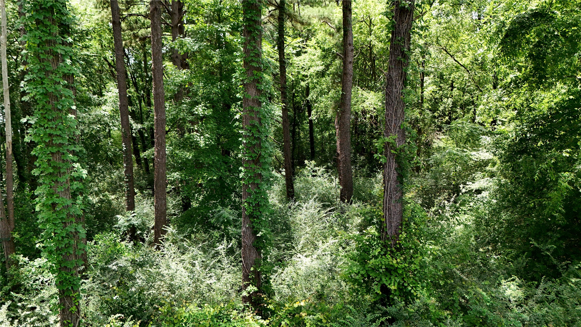 Lot 339 Grand View Drive Athens TX 75752