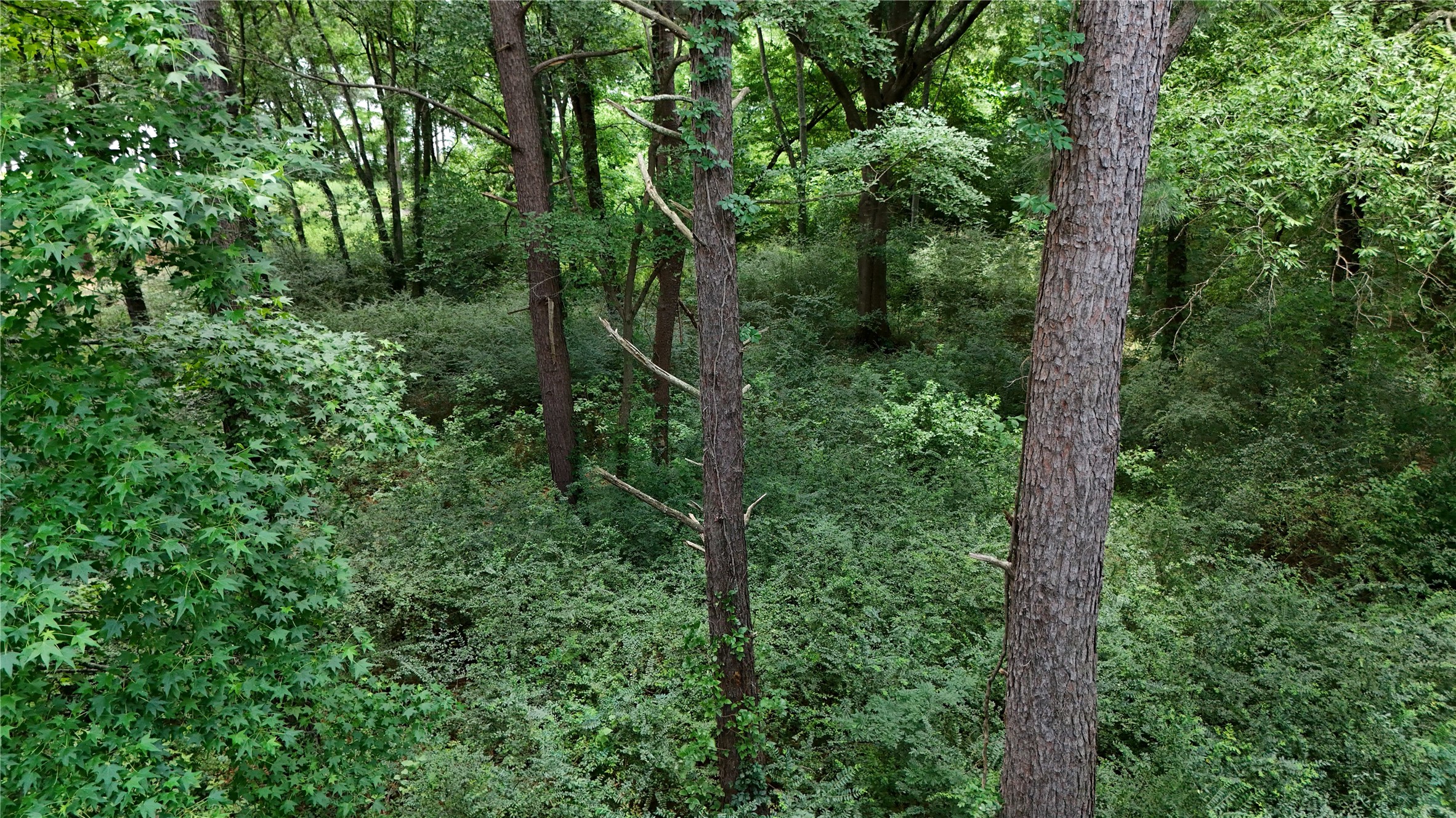 Lot 339 Grand View Drive Athens TX 75752