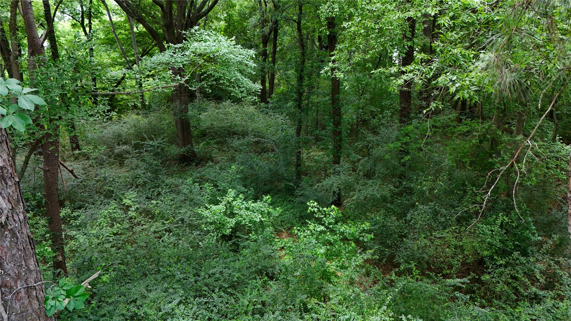 Lot 339 Grand View Drive Athens TX 75752