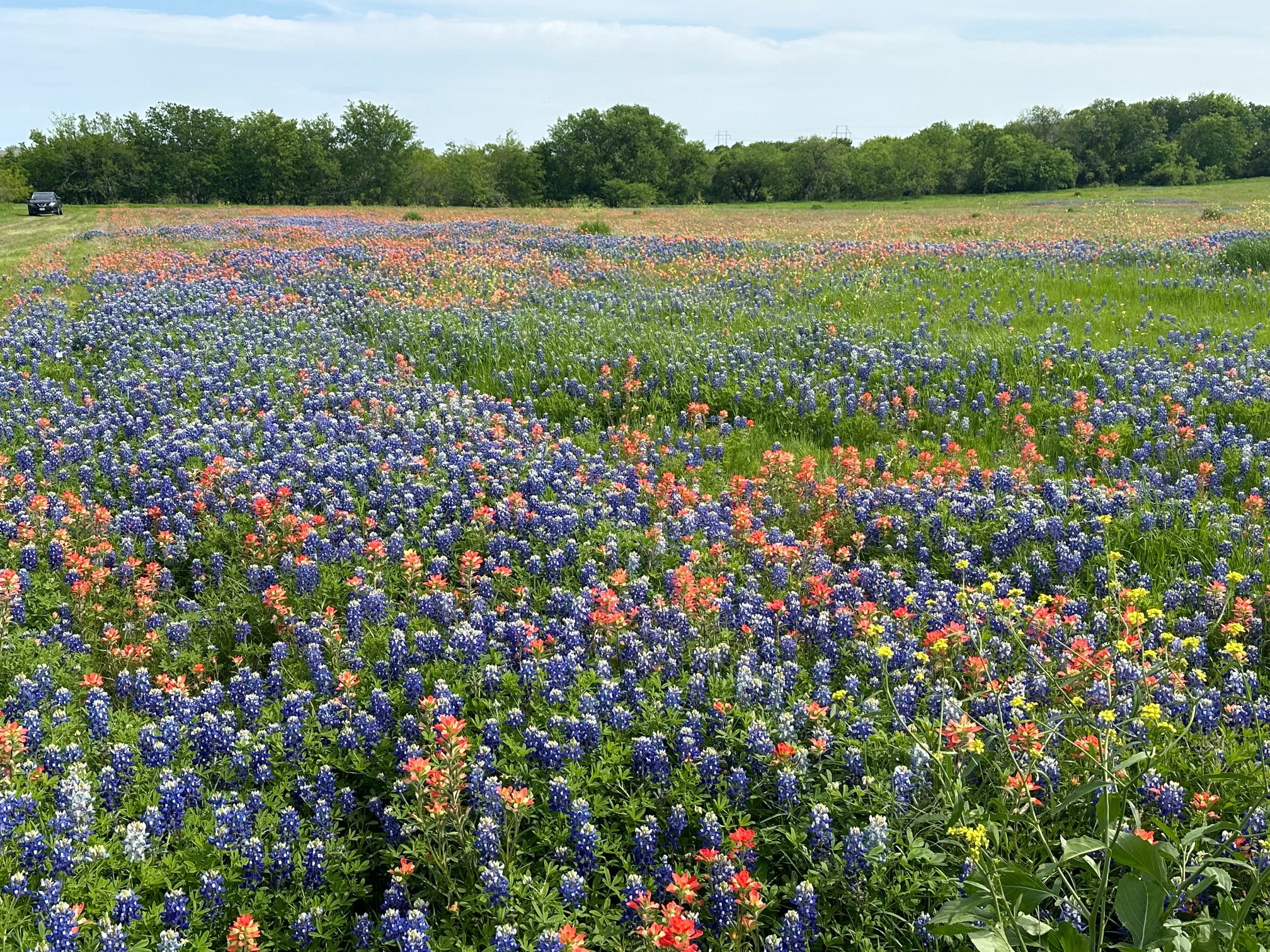 00 Fm-660 Ennis TX 75119