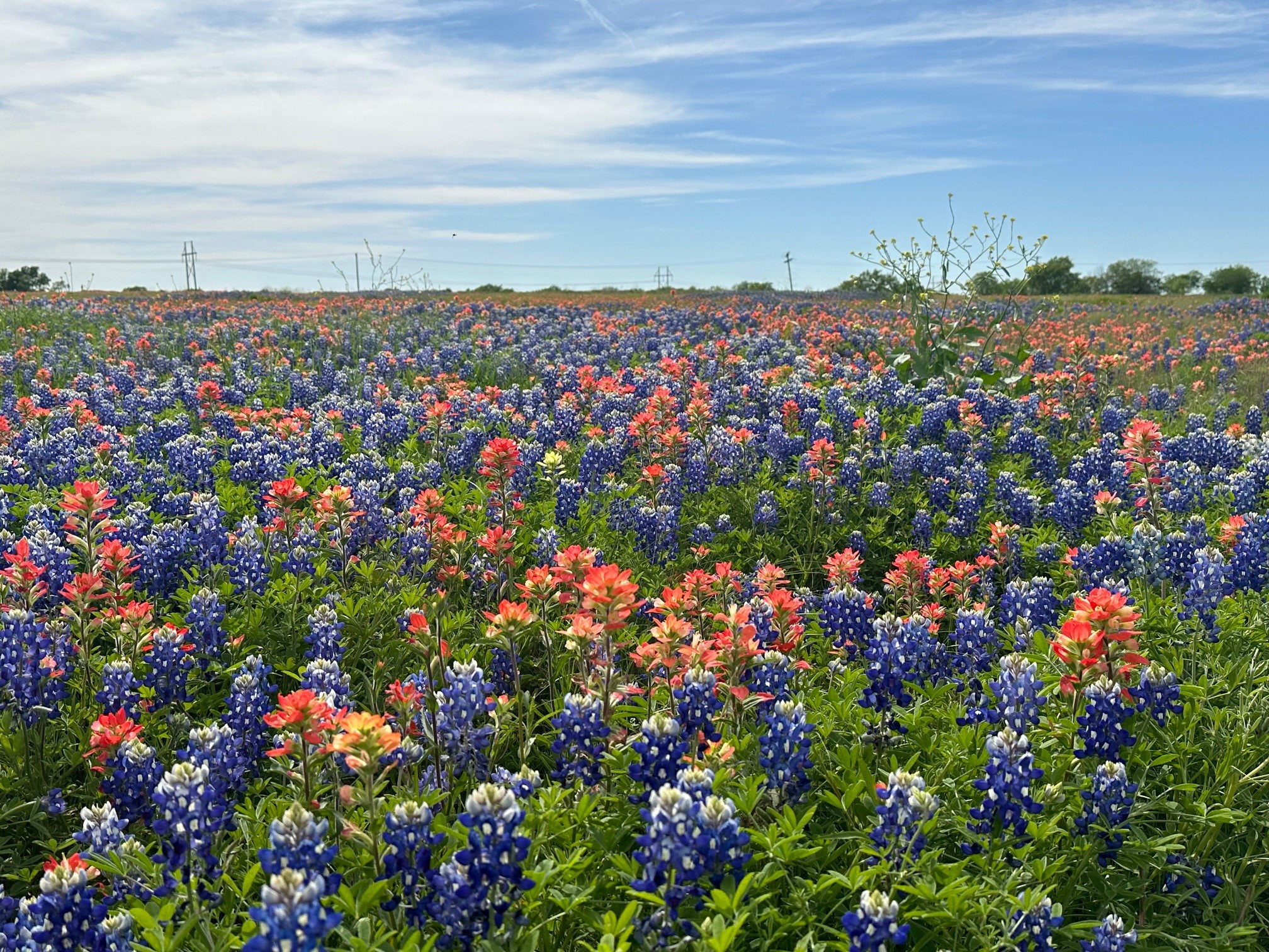00 Fm-660 Ennis TX 75119