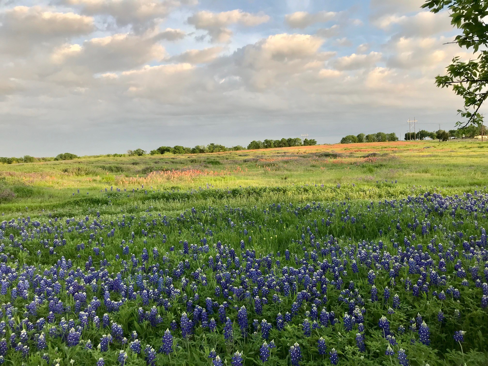 00 Fm-660 Ennis TX 75119