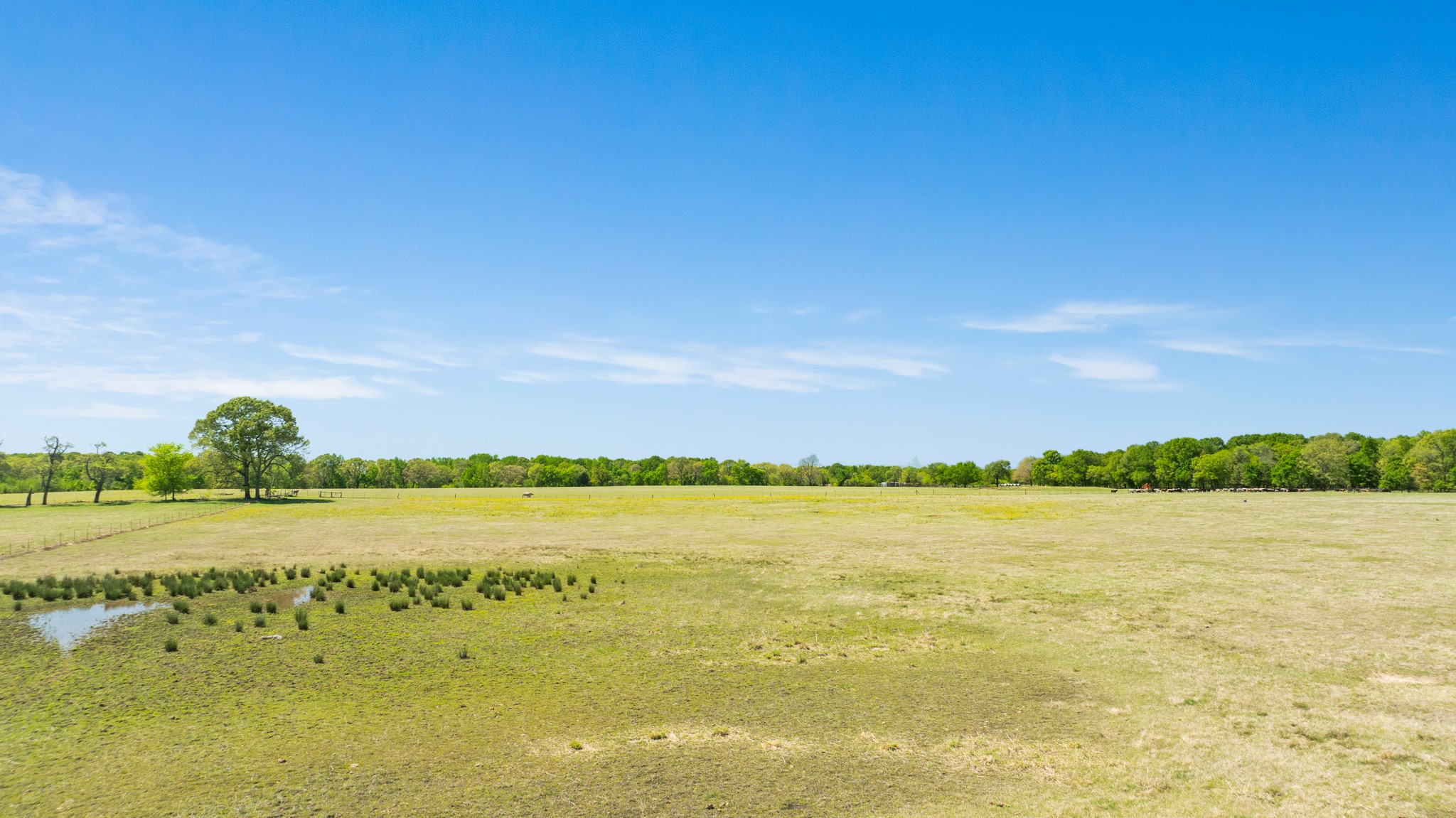 000 County Road 2356 Detroit TX 75436