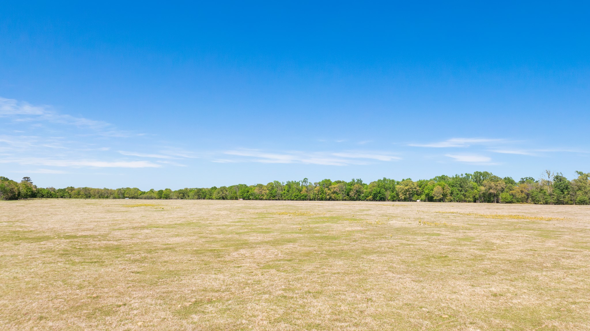 000 County Road 2356 Detroit TX 75436