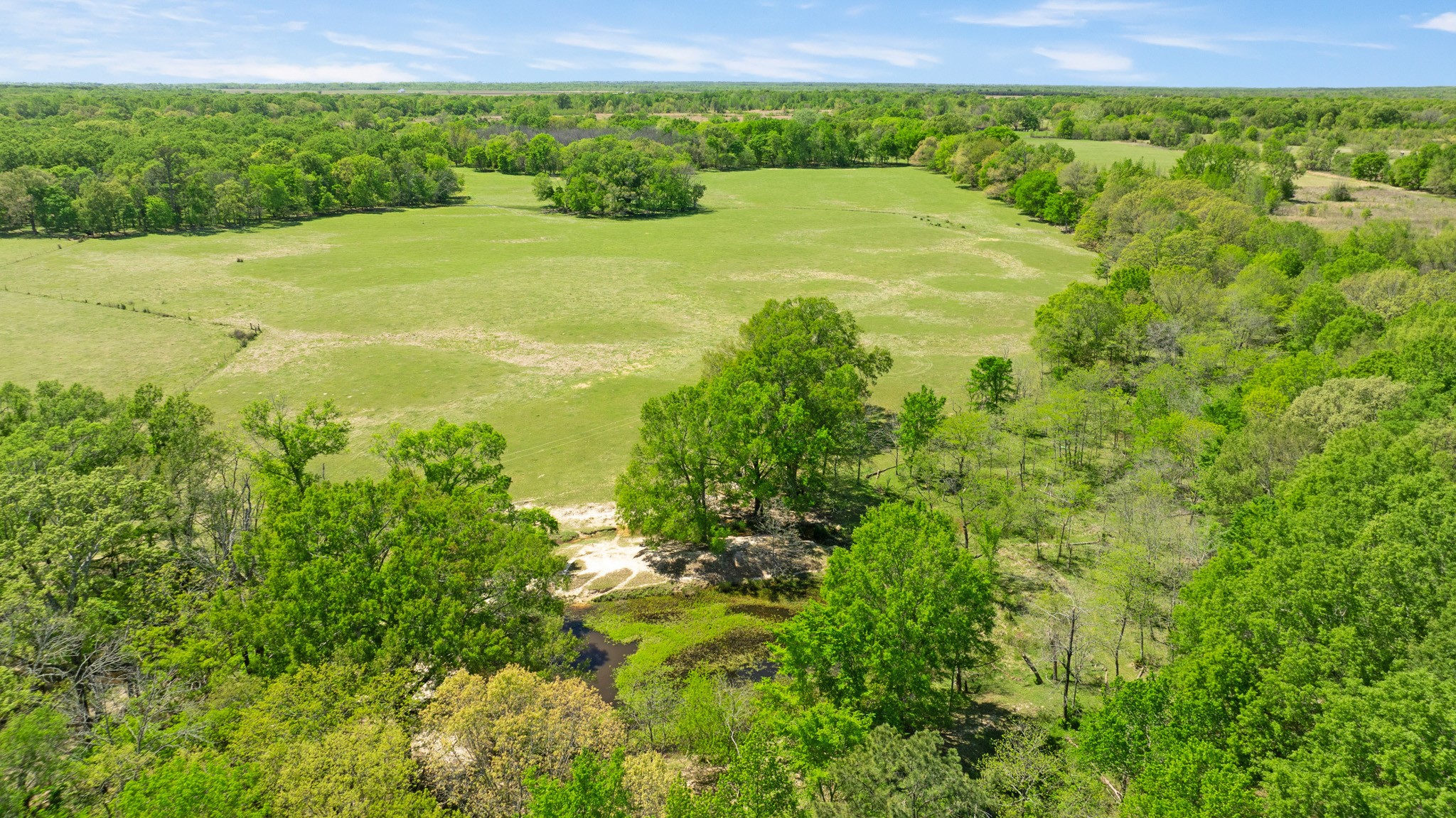 000 County Road 2356 Detroit TX 75436