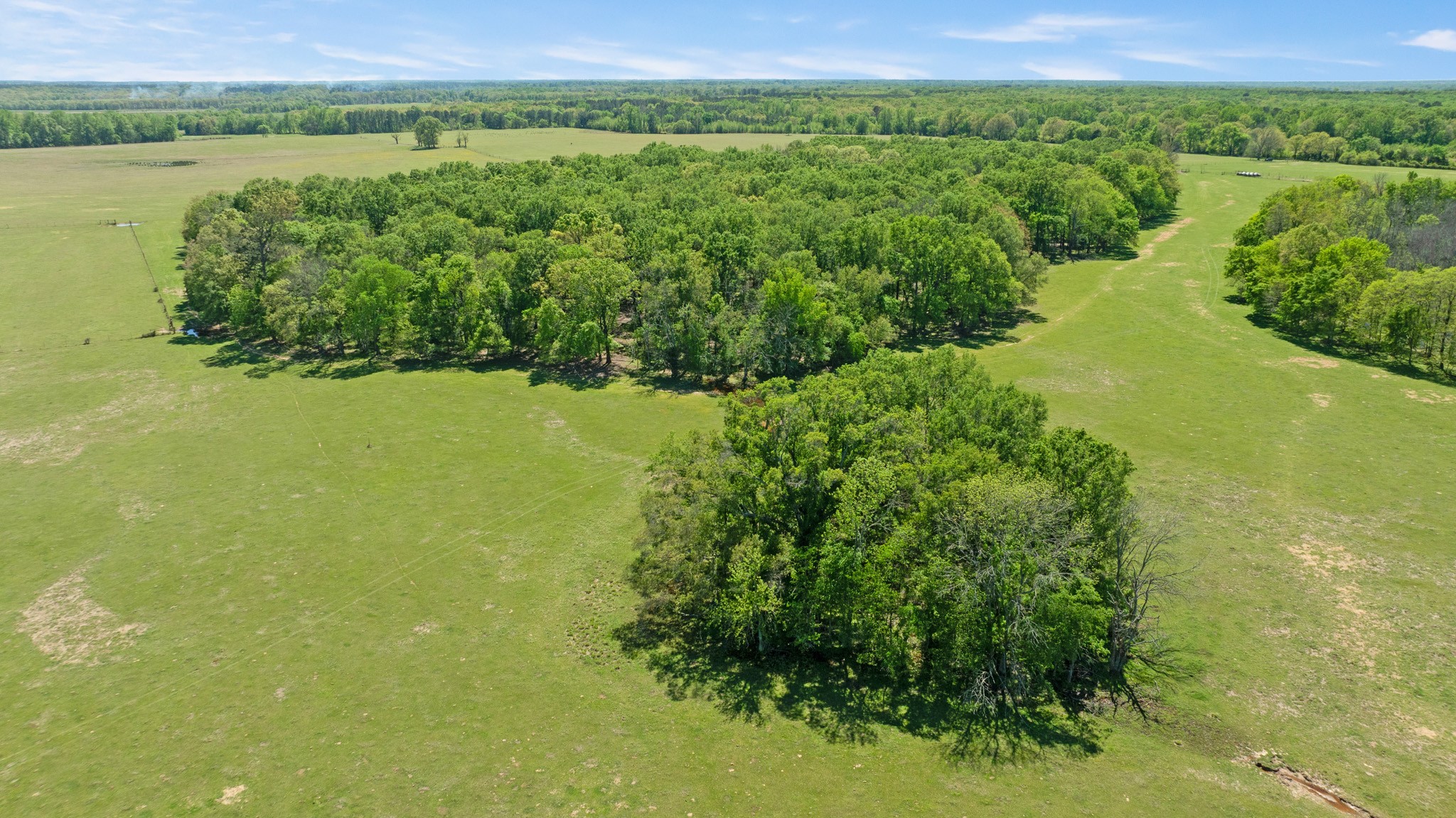 000 County Road 2356 Detroit TX 75436