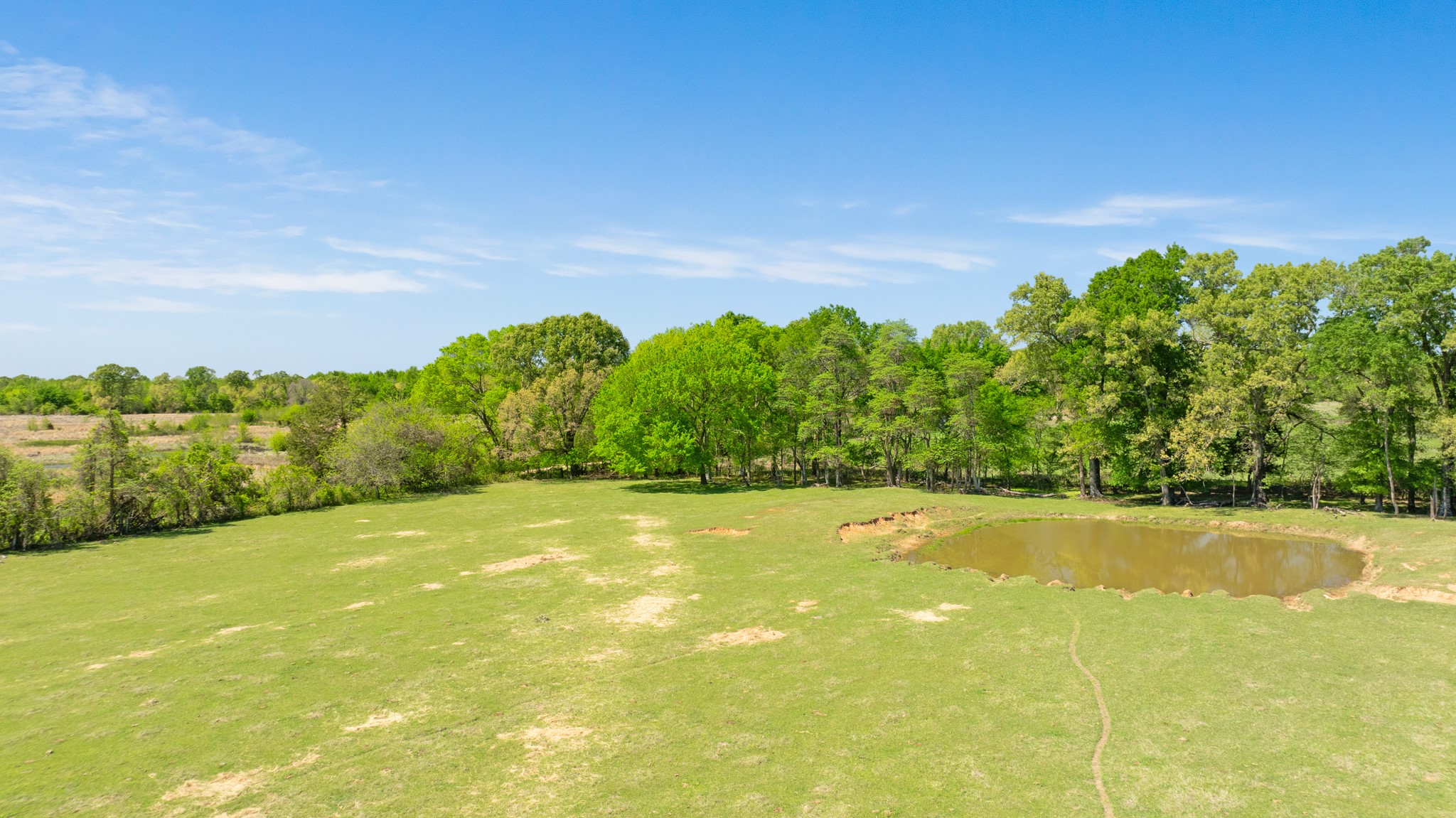 000 County Road 2356 Detroit TX 75436