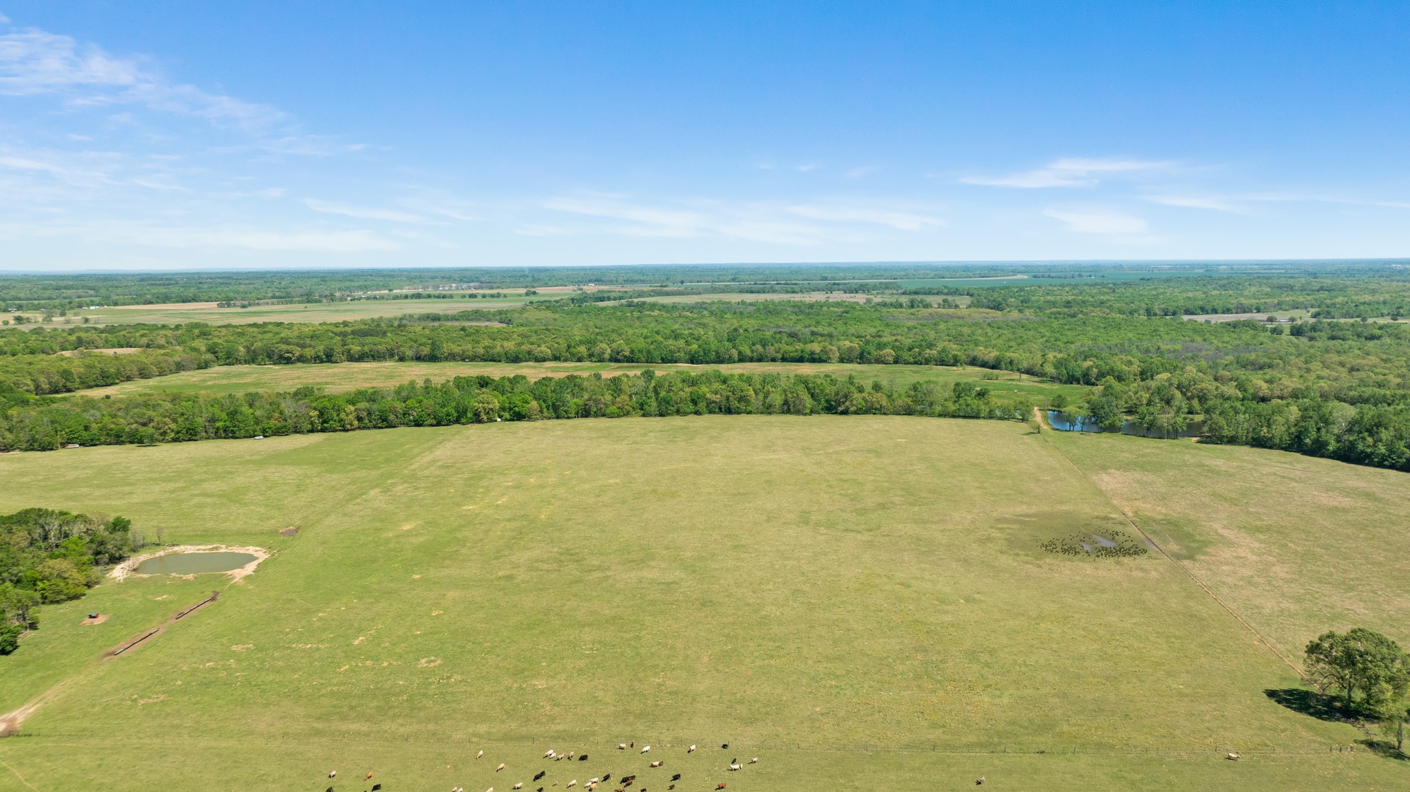 000 County Road 2356 Detroit TX 75436