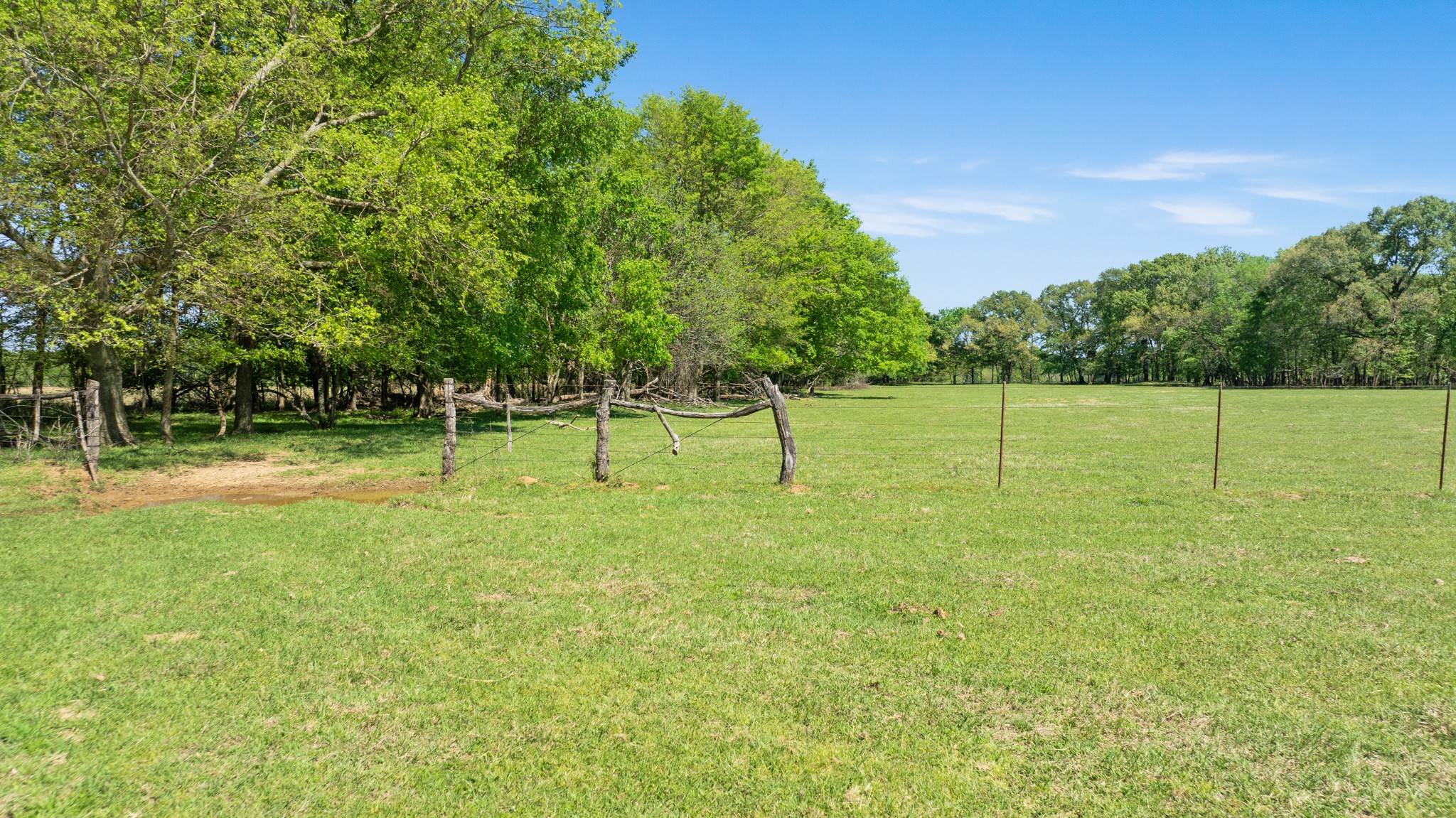 000 County Road 2356 Detroit TX 75436