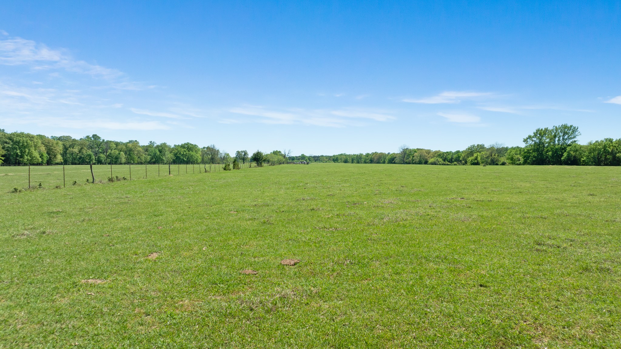 000 County Road 2356 Detroit TX 75436
