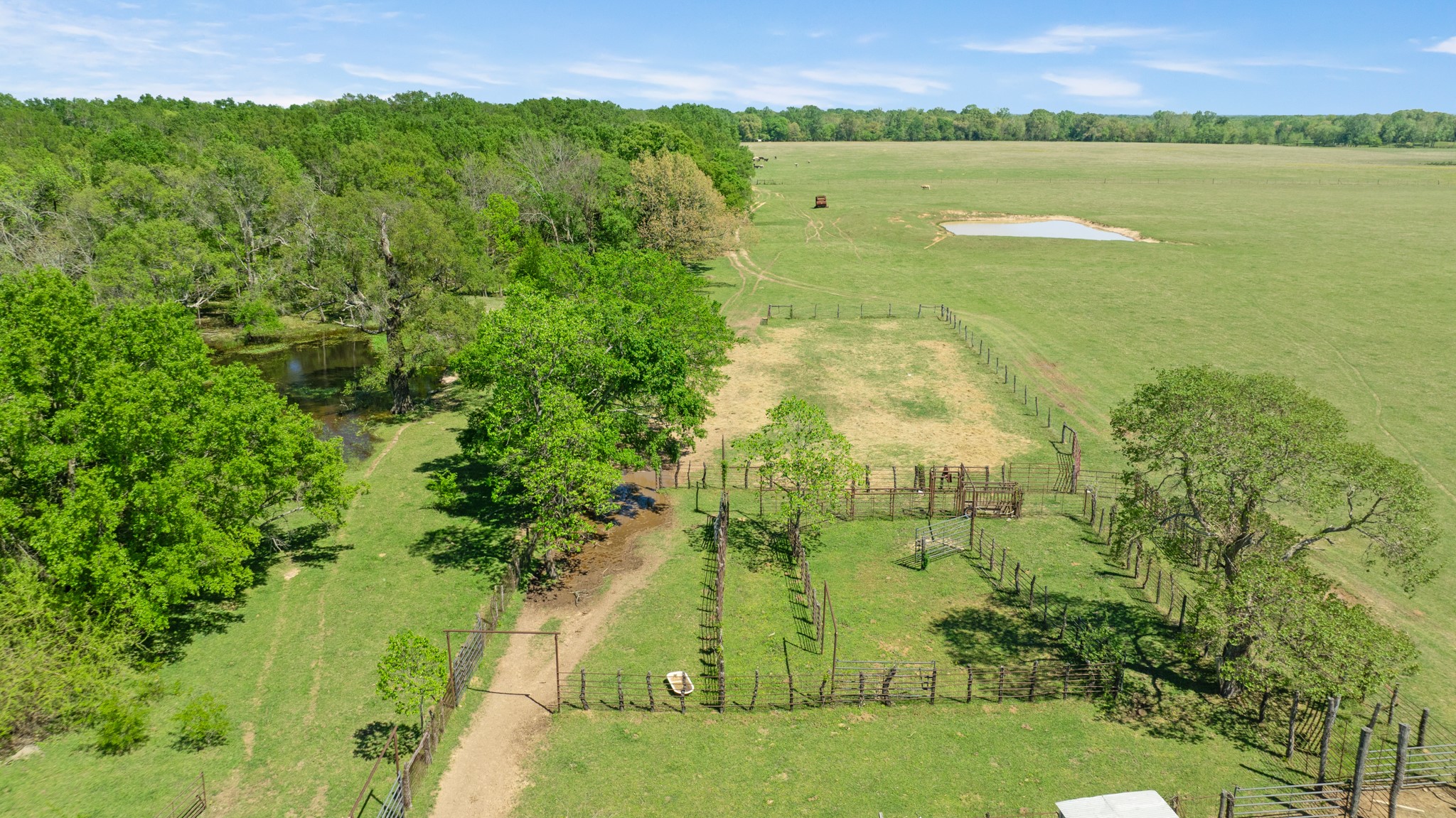 000 County Road 2356 Detroit TX 75436