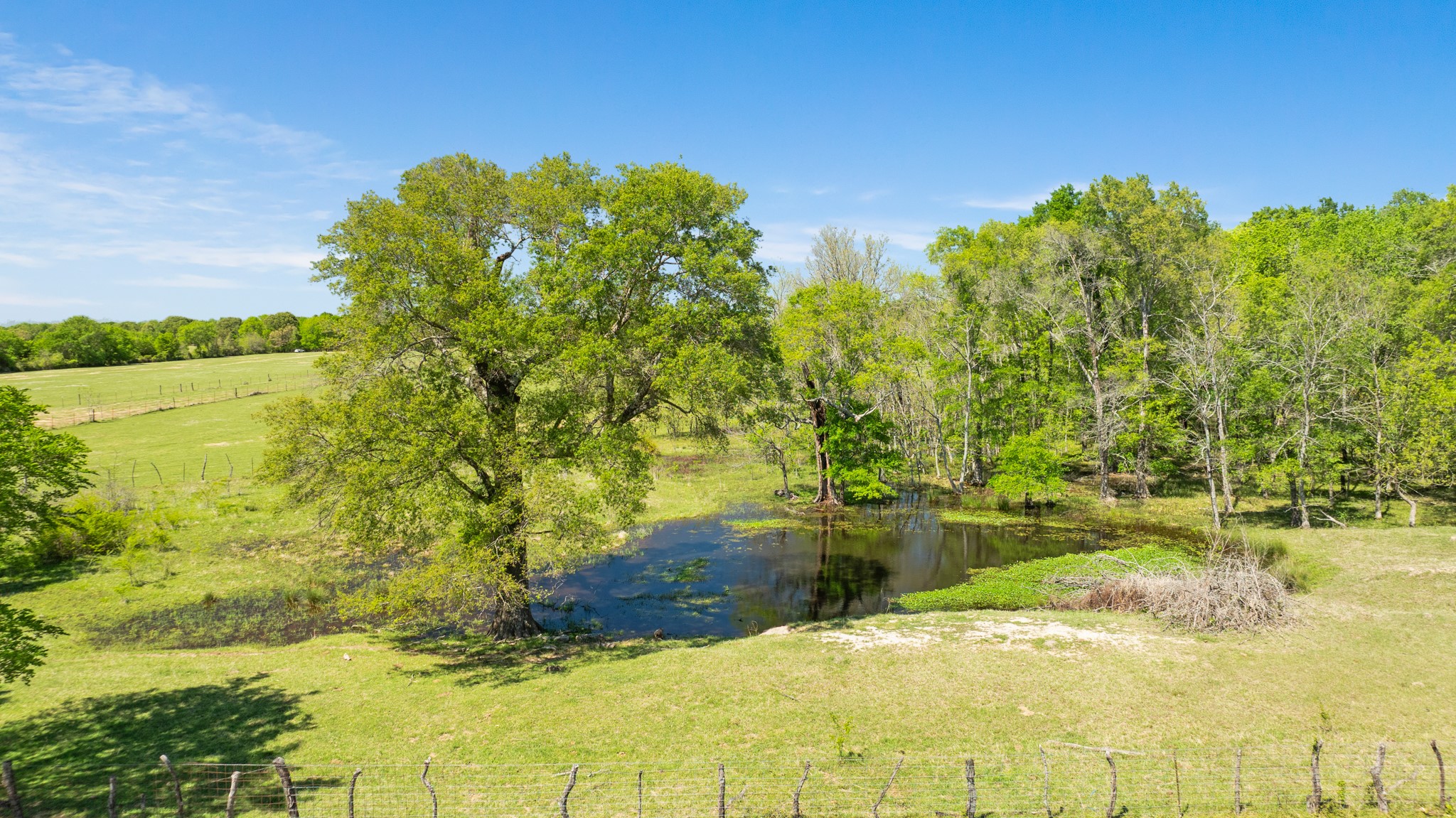 000 County Road 2356 Detroit TX 75436