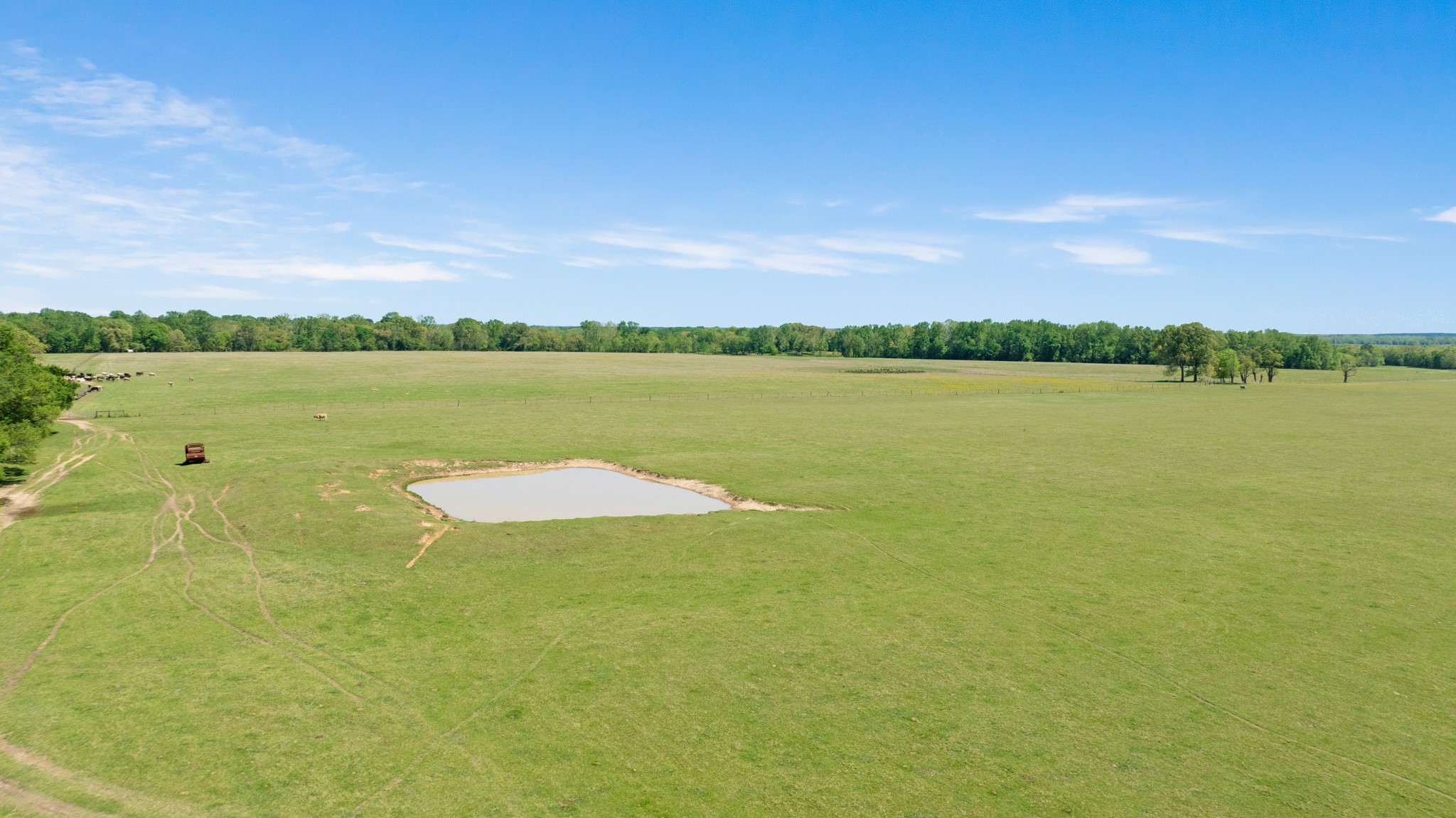 000 County Road 2356 Detroit TX 75436