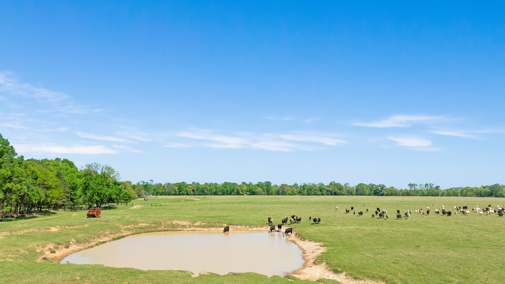 000 County Road 2356 Detroit TX 75436