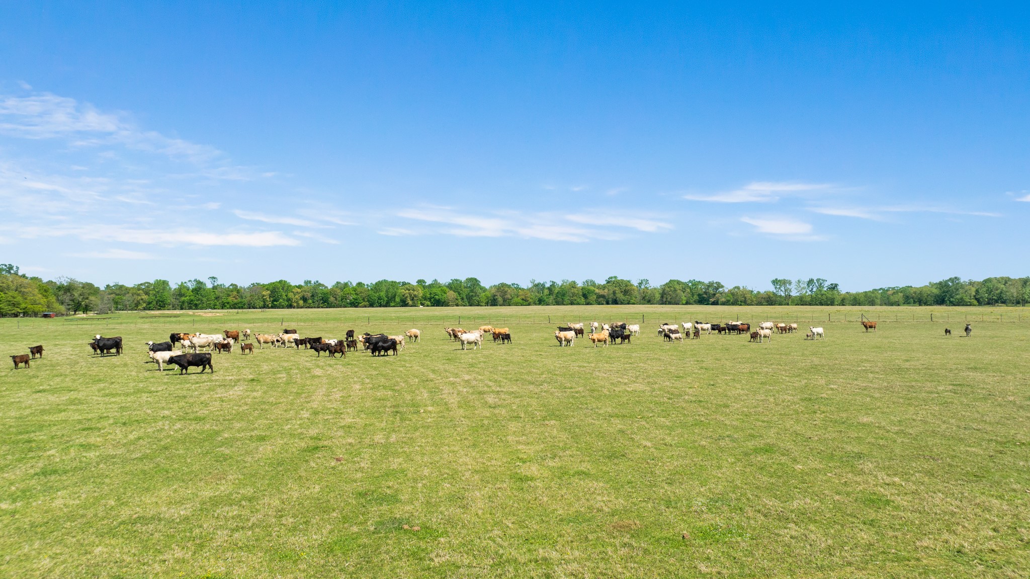 000 County Road 2356 Detroit TX 75436